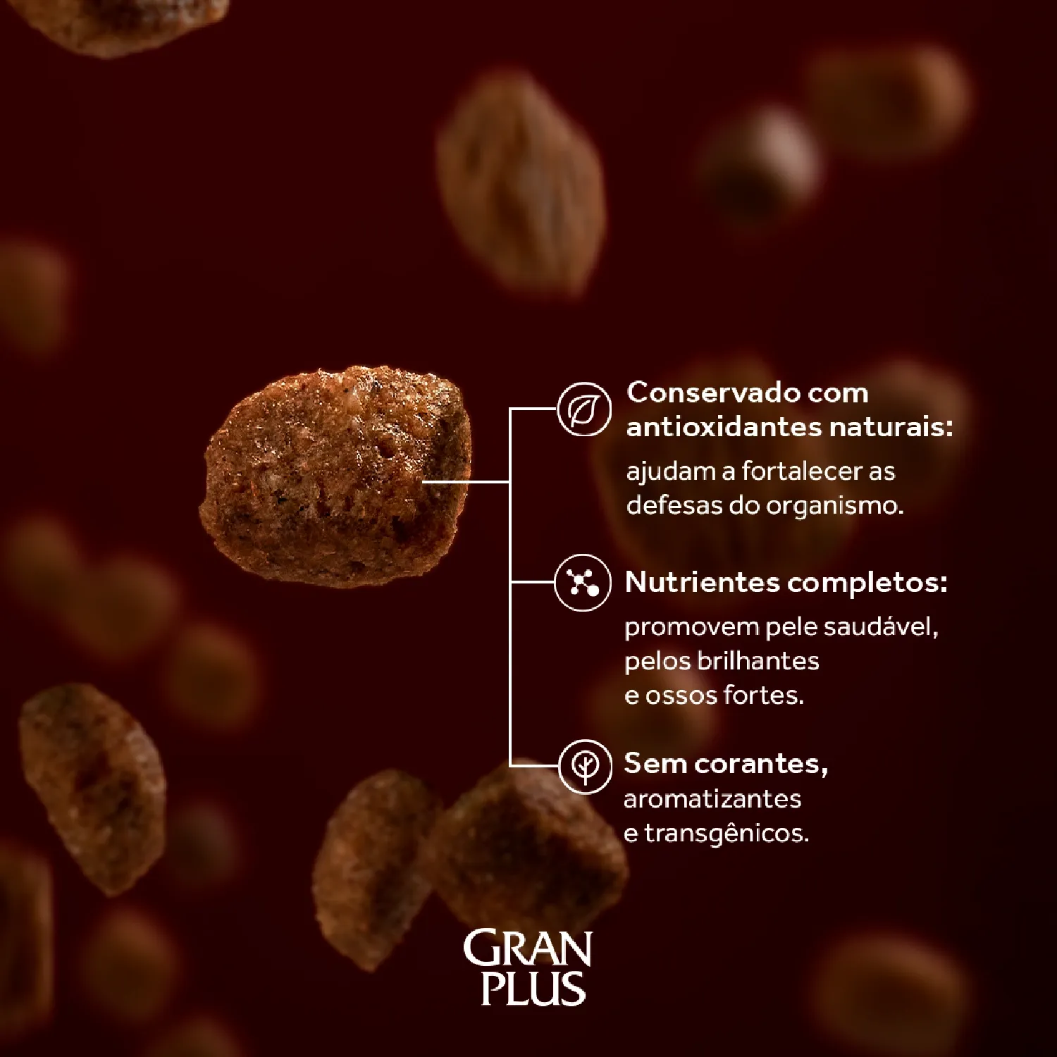 Racao GranPlus Gourmet Caes Adultos Mini Ovelha e Arroz grao